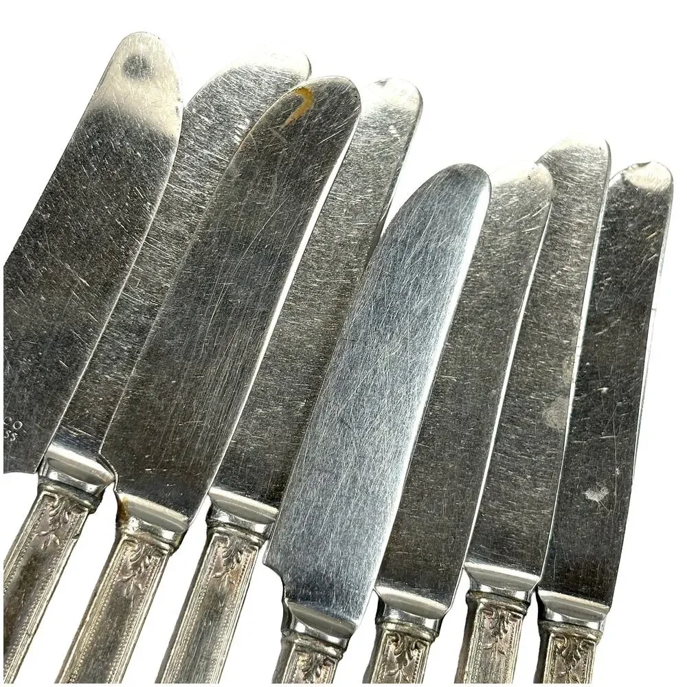 1847 Rogers Bros Ancestral Set 8 Viande Knives INSICO Stainless Silverplate